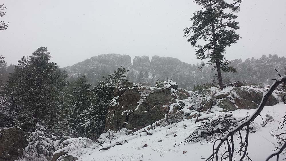 Snow-covered rocks and pine trees in the Colorado foothills