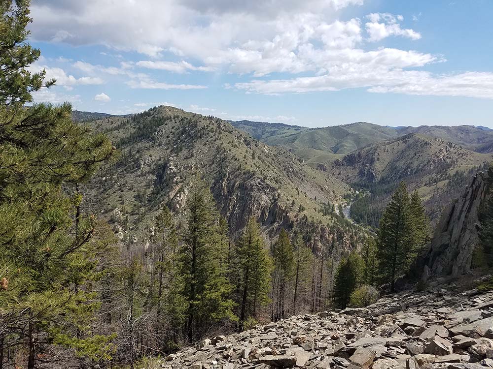 Mountain valley with pine trees and rocky slopes in Colorado