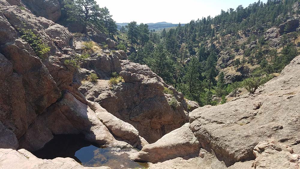 Rocky canyon with a small pool surrounded by pine forest